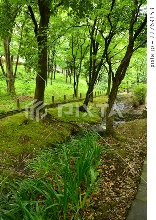 ささぶねの道 ささぶねの道 22769153