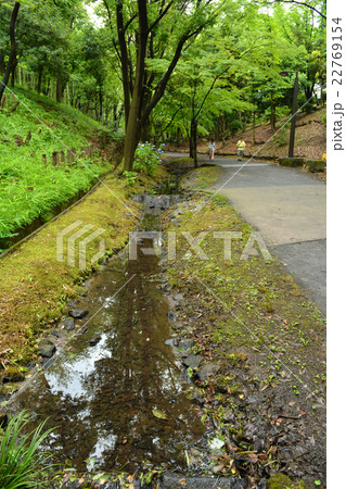 ささぶねの道 ささぶねの道 22769154