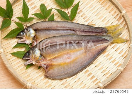 鮎の干物 22769542