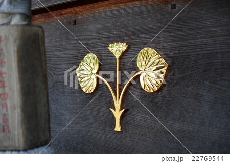 松尾大社のふたば葵紋-2 22769544