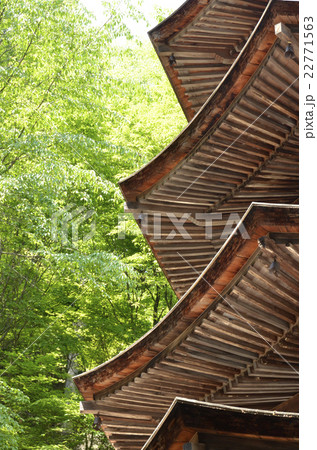 安楽寺国宝八角三重塔 安楽寺国宝八角三重塔 22771563