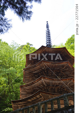 安楽寺国宝八角三重塔 安楽寺国宝八角三重塔 22771564