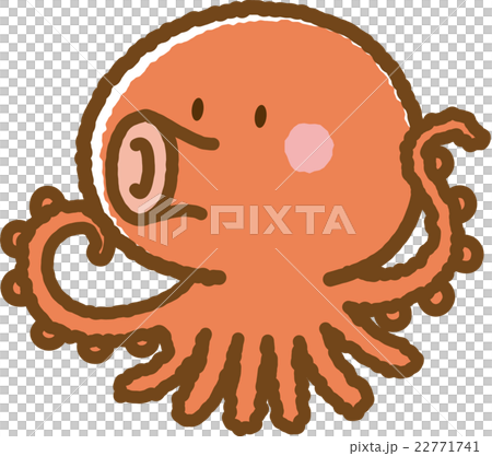 octopus  22771741