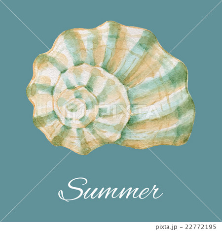 Watercolor sea shell. 22772195