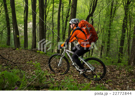 Cyclist Riding the Bike in Beautiful Spring Forest 22772844