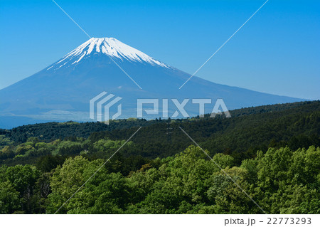 富士山 22773293
