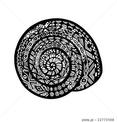 Hand drawn snail shell. Vector snail shell 22773568