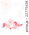 ピンクの花背景 22775436