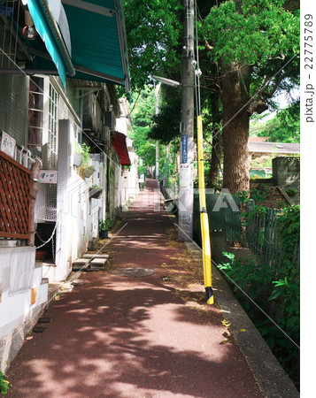 神戸異人館の町並 神戸異人館の町並 22775789