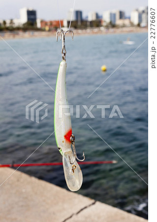 Lure and hook 22776607