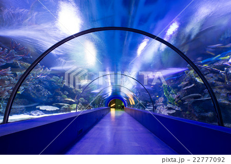 Underwater tunnel Underwater tunnel 22777092
