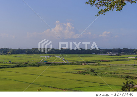 夏の寺崎城址から見た風景 夏の寺崎城址から見た風景 22777440