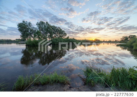 swamp in the forest. 22777630