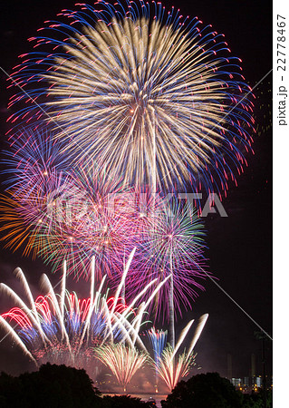 神奈川新聞社花火大会 神奈川新聞社花火大会 22778467