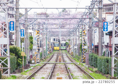 都電荒川線・春 22780255