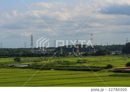 夏の佐倉市の田園風景 夏の佐倉市の田園風景 22780300