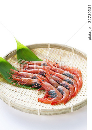 南蛮エビ12 南蛮エビ12 22780585