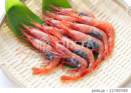 南蛮エビ4 南蛮エビ4 22780589