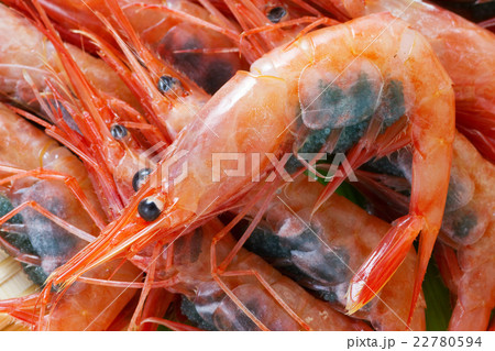 南蛮エビ9 南蛮エビ9 22780594