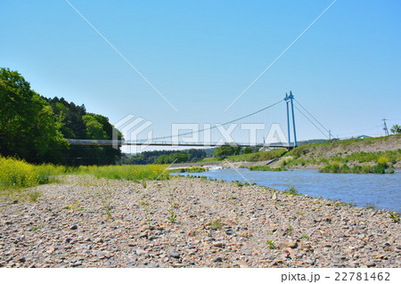 大金吊り橋 22781462