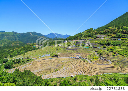 熊野の棚田　丸山千枚田 22781888