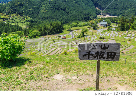 熊野の棚田 丸山千枚田 熊野の棚田 丸山千枚田 22781906
