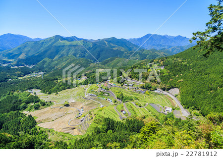 熊野の棚田　丸山千枚田 22781912