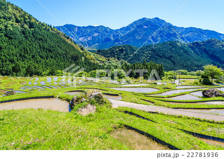 熊野の棚田　丸山千枚田 22781936