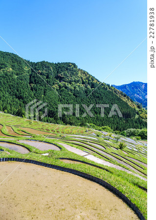 熊野の棚田　丸山千枚田 22781938