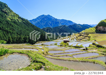 熊野の棚田　丸山千枚田 22781944