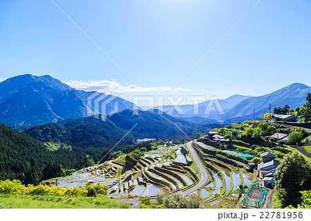 熊野の棚田　丸山千枚田 22781956