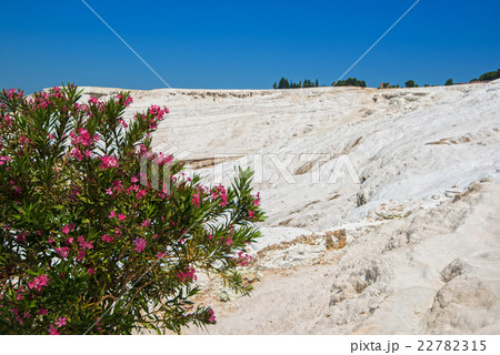 Panoramic view of Pammukale 22782315