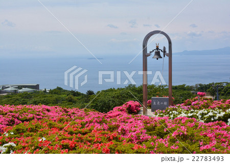 星ヶ山公園 さつきの郷 22783493