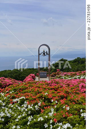 星ヶ山公園 さつきの郷 星ヶ山公園 さつきの郷 22783496