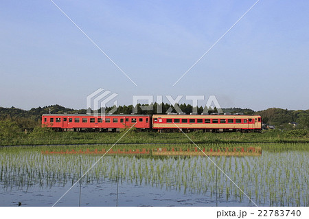 いすみ鉄道キハ52+キハ28列車と水鏡 22783740