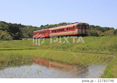 いすみ鉄道キハ52+キハ28列車と水鏡 いすみ鉄道キハ52+キハ28列車と水鏡 22783746