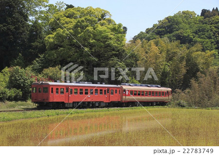 いすみ鉄道キハ52+キハ28列車と水鏡 いすみ鉄道キハ52+キハ28列車と水鏡 22783749