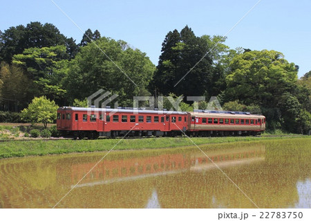 いすみ鉄道キハ52+キハ28列車と水鏡 22783750