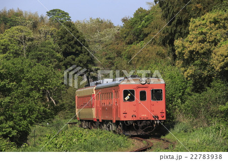 いすみ鉄道キハ52+キハ28 22783938