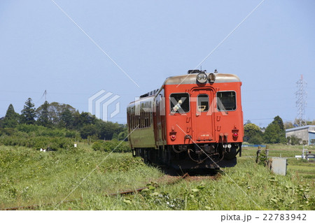 いすみ鉄道キハ52+キハ28 22783942