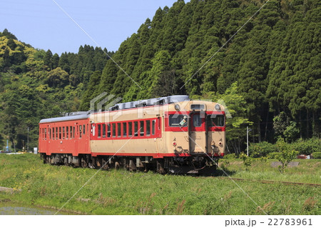 いすみ鉄道キハ52+キハ28 22783961