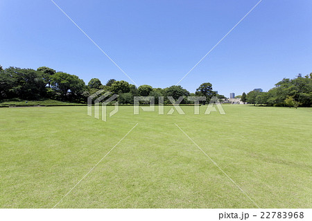 皇居東御苑の広場 皇居東御苑の広場 22783968
