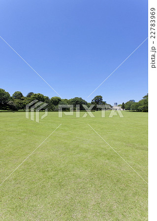 皇居東御苑の広場 22783969