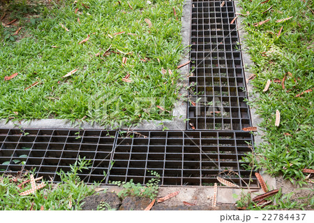 iron grate of water drain in grass garden field 22784437