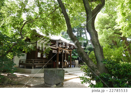安居神社　本殿 22785533