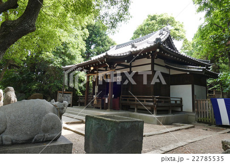 安居神社　本殿 22785535