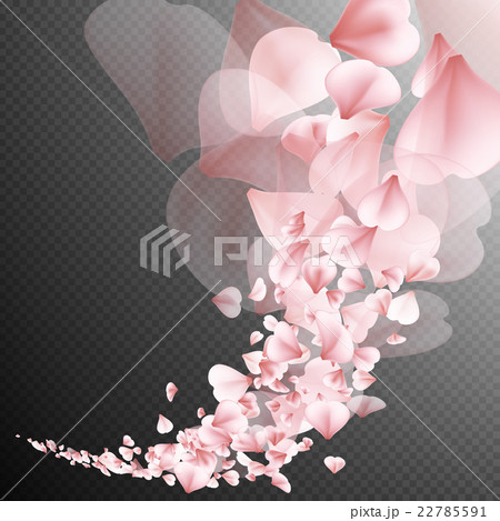 Sakura flying petals. EPS 10 22785591