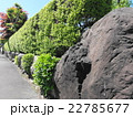 新緑の生垣 22785677