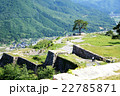 竹田城跡 22785871