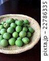 青梅（古城梅） 22786335